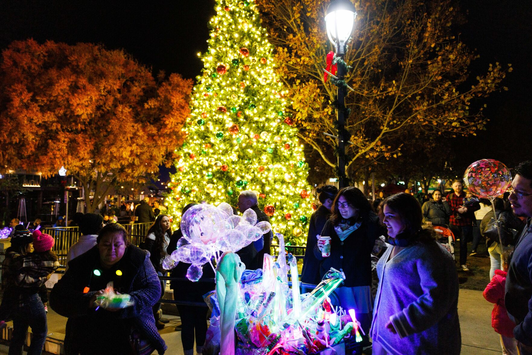 Tree Lighting